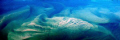   Katama Bay Fan. This shot shows ocean bottom inlet island Marthas Vineyard. Pilot Artist Dick Sherman photographed ethereal image his Navion airplane altitude about 1000 feet. Fan Vineyard feet  
